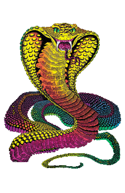 Новый 2013 год - год Змеи